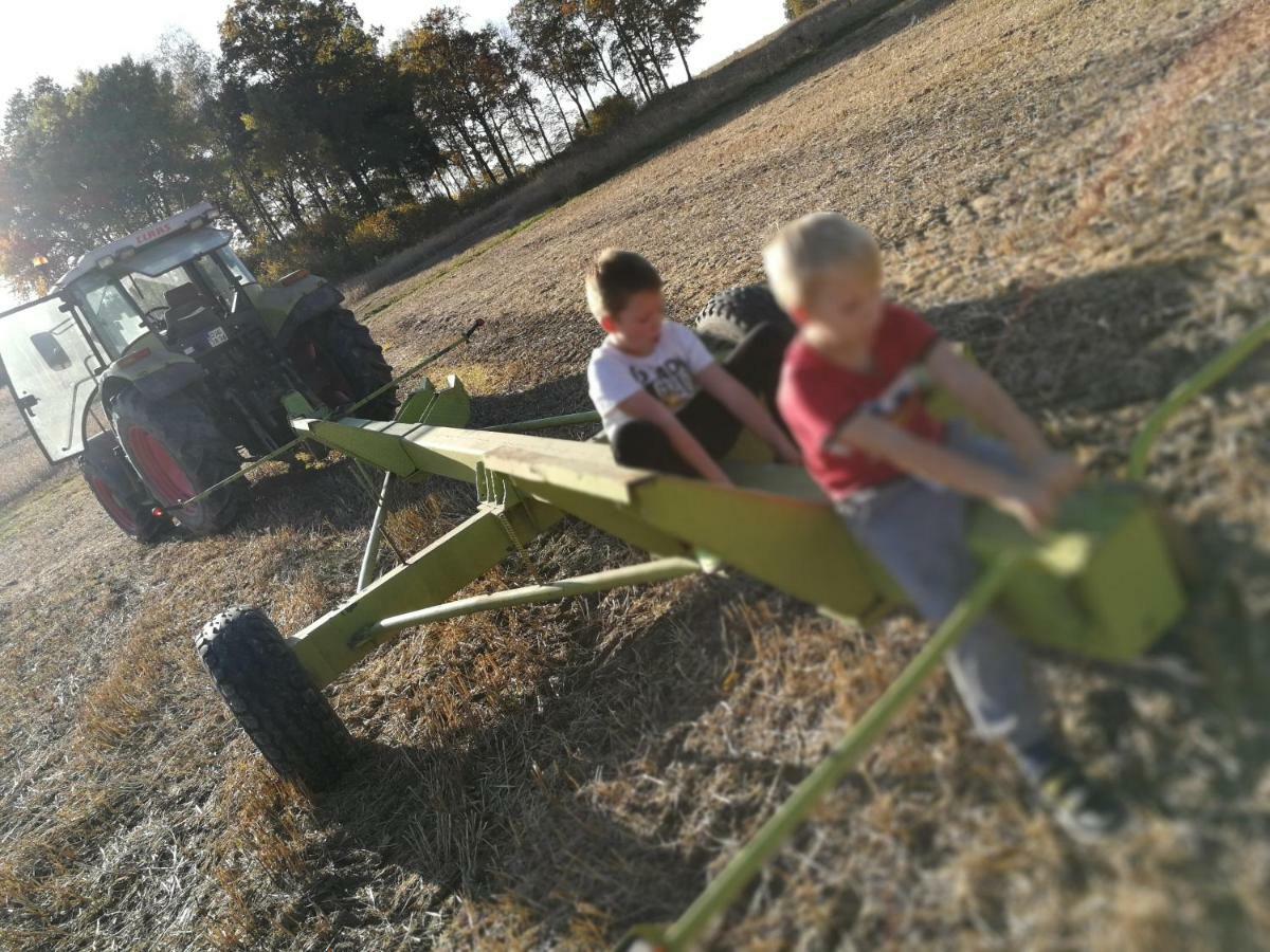 Agroturystyka U Swiatkow Stara Kamienica المظهر الخارجي الصورة