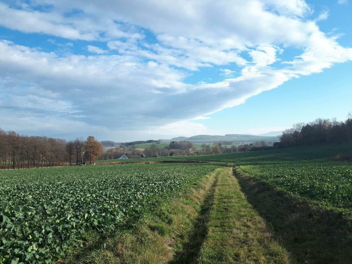 Agroturystyka U Swiatkow Stara Kamienica المظهر الخارجي الصورة